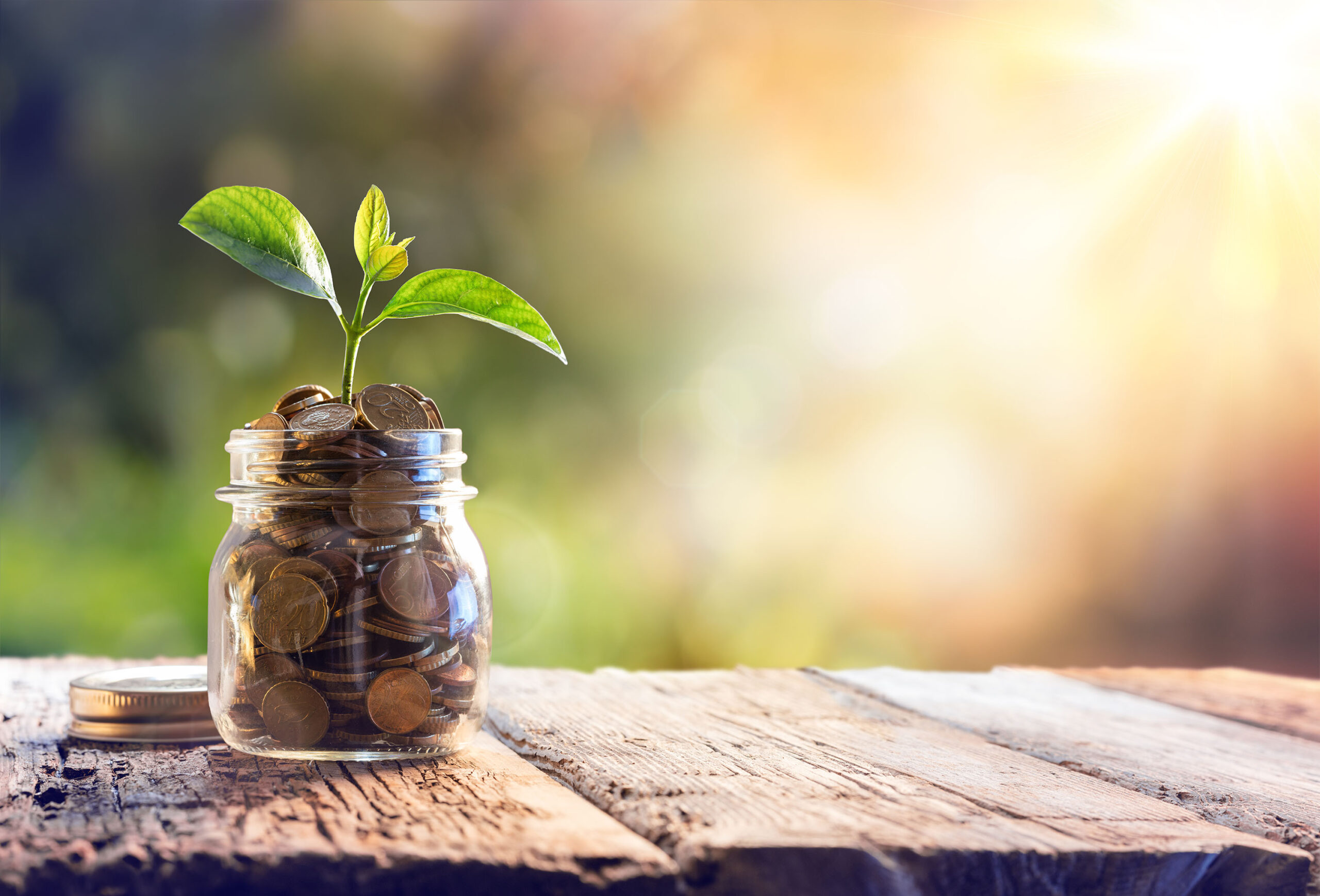 A collection of copper coins in a glass jar with a plant growing out the top of it.